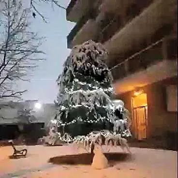 660 Otel Acri